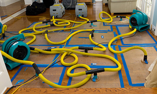 Professional Crawl Space Water Removal technician working in Flushing, OH